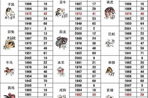 81年属相|1981年属什么生肖属相 1981年出生属什么的